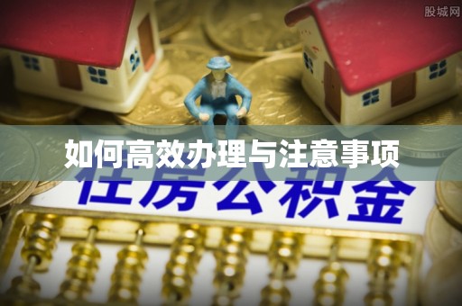 广州如何高效办理与注意事项