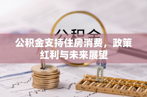 广州公积金支持住房消费，政策红利与未来展望