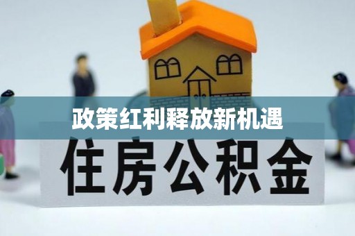 广州政策红利释放新机遇