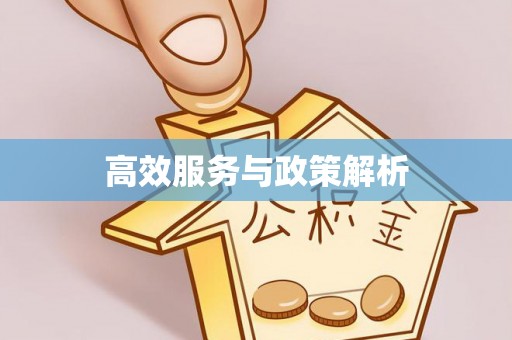 广州高效服务与政策解析