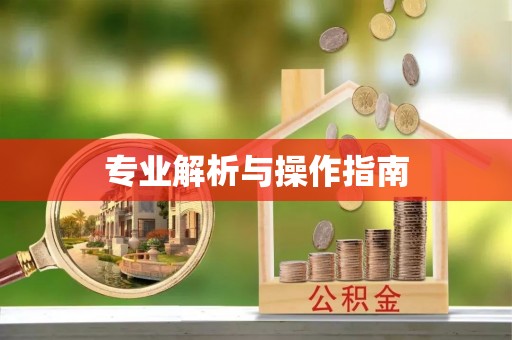 广州专业解析与操作指南