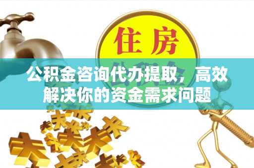 广州公积金咨询代办提取，高效解决你的资金需求问题