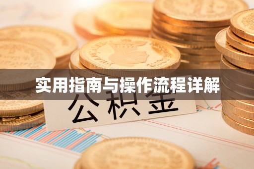 广州实用指南与操作流程详解