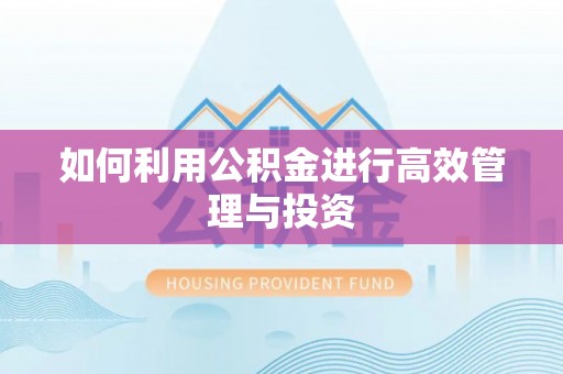 广州如何利用公积金进行高效管理与投资
