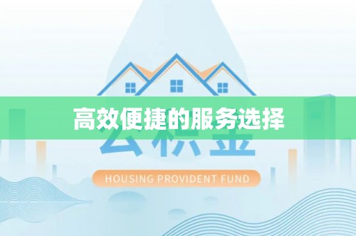 广州高效便捷的服务选择