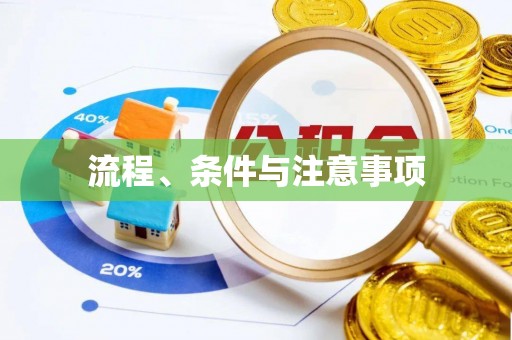 广州流程、条件与注意事项